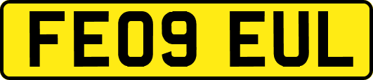 FE09EUL