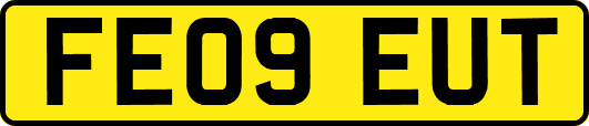 FE09EUT
