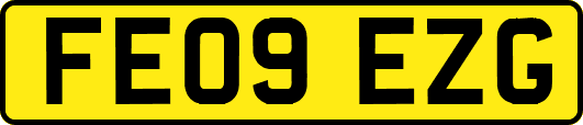 FE09EZG