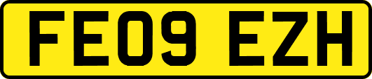 FE09EZH