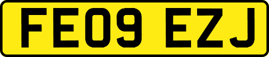 FE09EZJ