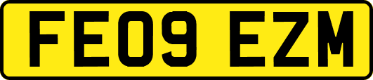 FE09EZM