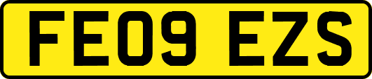 FE09EZS