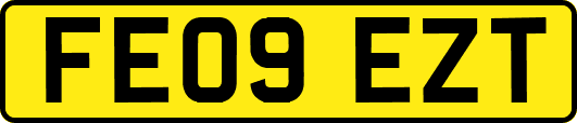 FE09EZT
