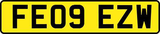 FE09EZW