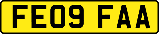 FE09FAA