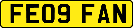 FE09FAN
