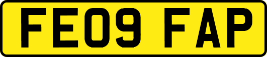 FE09FAP