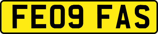 FE09FAS