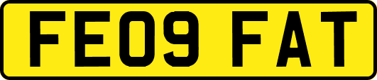FE09FAT