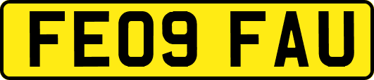FE09FAU