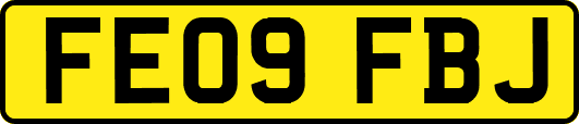 FE09FBJ