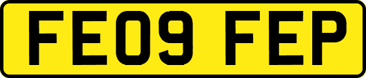 FE09FEP