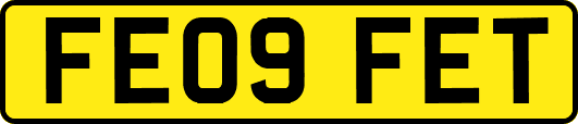 FE09FET
