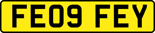 FE09FEY