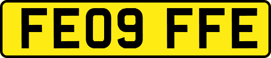FE09FFE