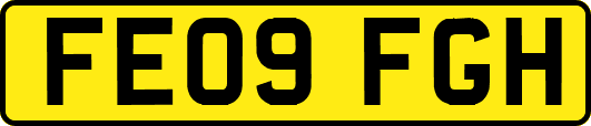 FE09FGH