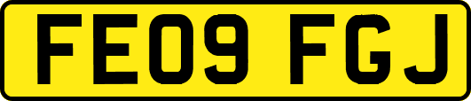 FE09FGJ