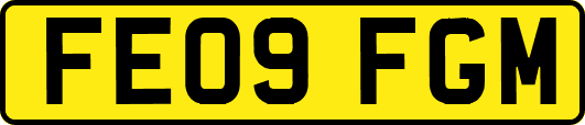 FE09FGM