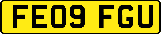 FE09FGU