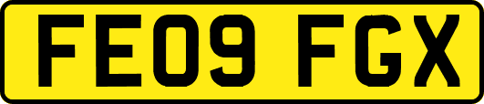 FE09FGX