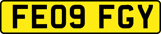 FE09FGY