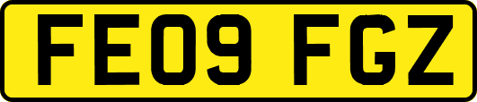 FE09FGZ