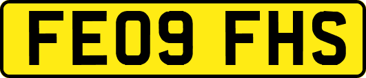 FE09FHS