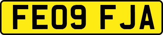 FE09FJA