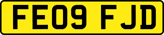 FE09FJD