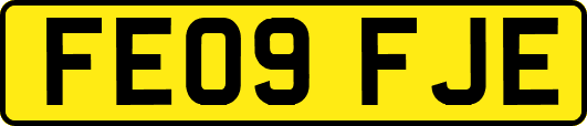 FE09FJE