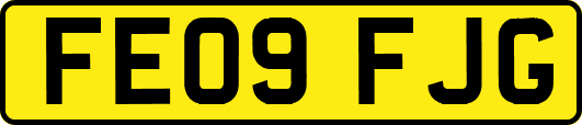 FE09FJG