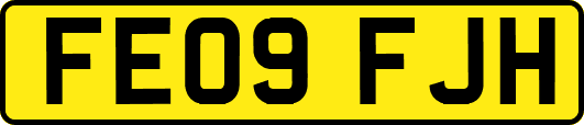 FE09FJH
