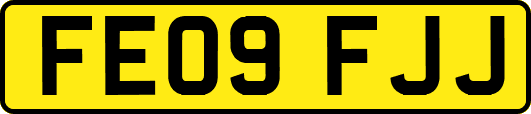 FE09FJJ
