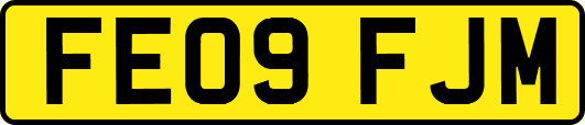 FE09FJM