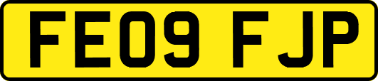 FE09FJP