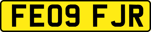 FE09FJR