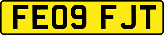 FE09FJT
