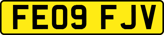FE09FJV