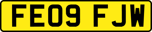 FE09FJW