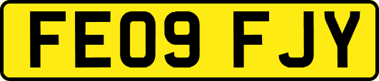 FE09FJY