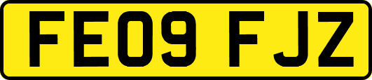 FE09FJZ