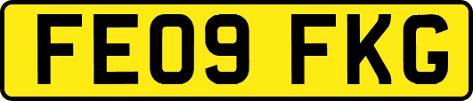 FE09FKG