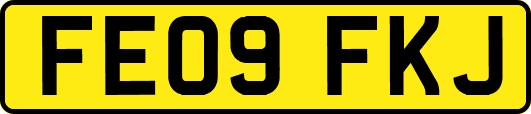 FE09FKJ