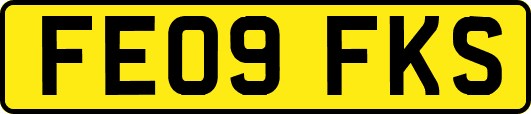 FE09FKS