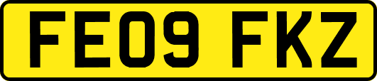 FE09FKZ