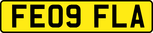 FE09FLA