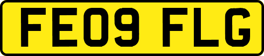 FE09FLG