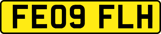 FE09FLH