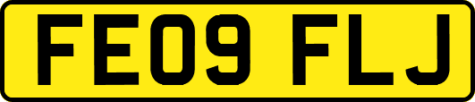 FE09FLJ